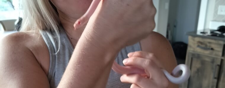 Full Blown Ouroboros 🐍